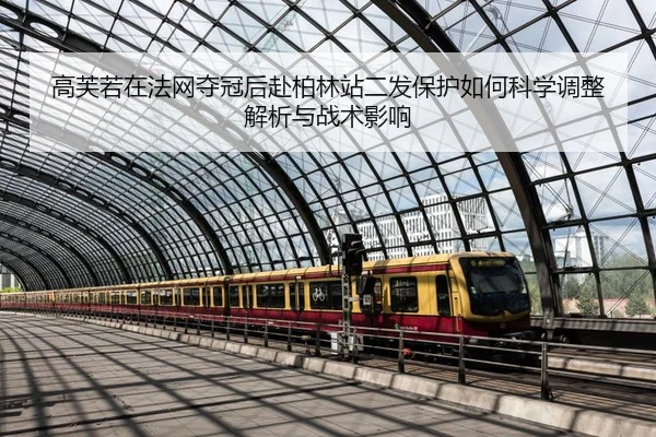gao-fu-ruo-zai-fa-wang-duo-guan-hou-fu-bo-lin-zhan-er-fa-bao-hu-ru-he-ke-xue-tiao-zheng-jie-xi-yu-zhan-shu-ying-xiang-2-745.jpg