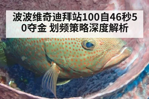 波波维奇迪拜站100自46秒50夺金 划频策略深度解析