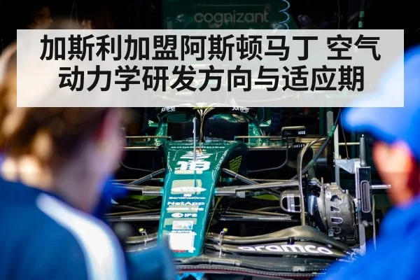 加斯利加盟阿斯顿马丁 空气动力学研发方向与适应期